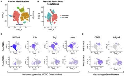 Systemic Immune Modulation Alters Local Bone Regeneration in a Delayed Treatment Composite Model of Non-Union Extremity Trauma